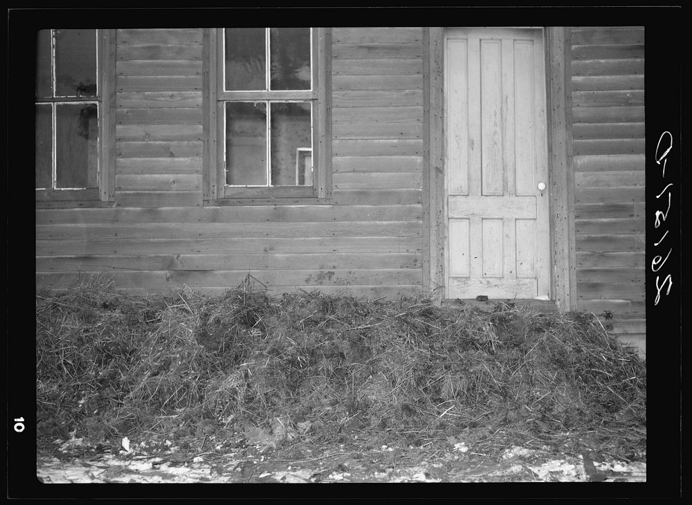 Manure and straw placed around foundation of house for warmth. Jefferson County, New York. Sourced from the Library of…