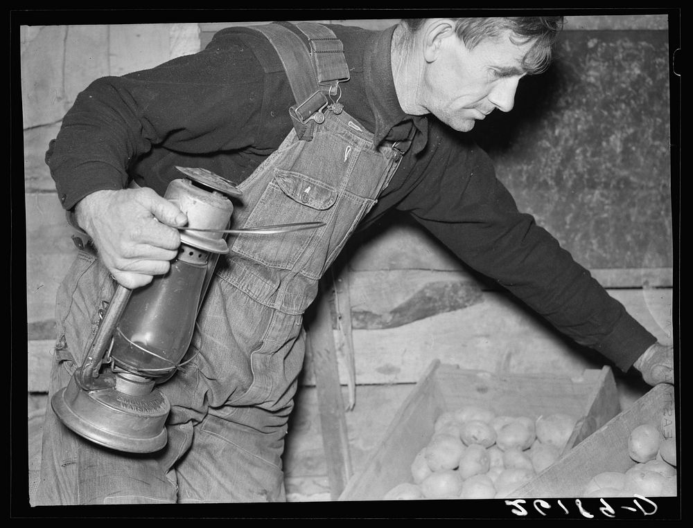 Dalton (vicinity), Allegany County, New York. Fred Ess, a submarginal farmer. Sourced from the Library of Congress.