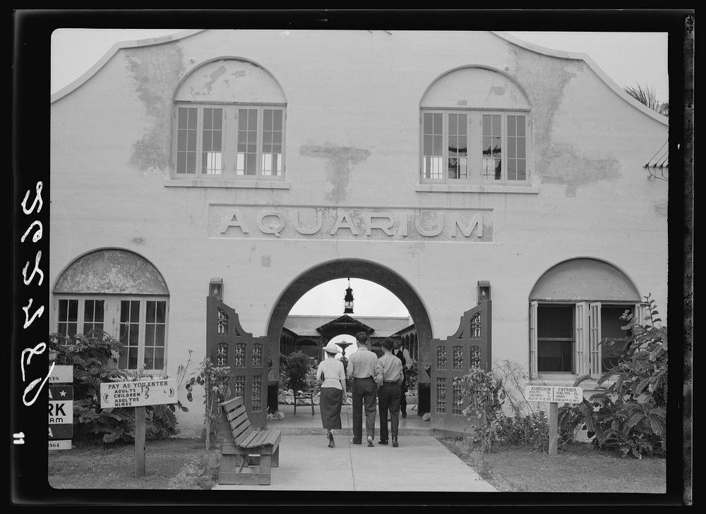 [Untitled photo, possibly related to: Aquarium. Key West, Florida]. Sourced from the Library of Congress.