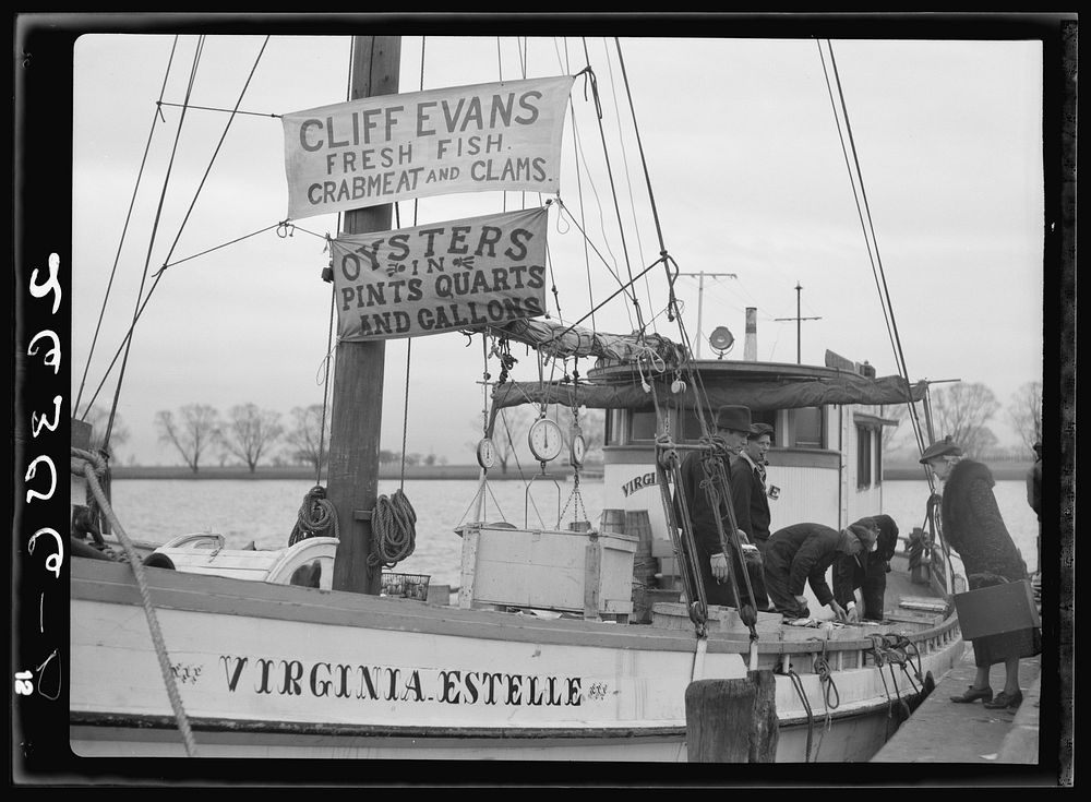 Fishermen at the wharves. Washington, D.C.. Sourced from the Library of Congress.
