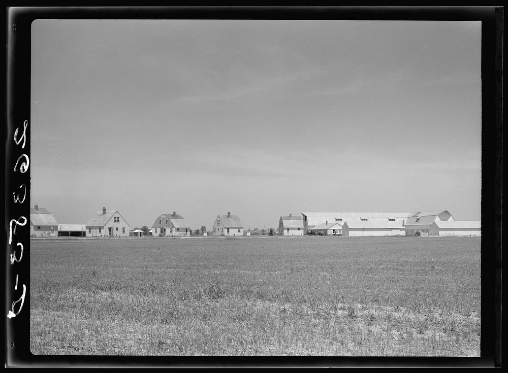 Houses and barns. Wabash Farms, Indiana. Sourced from the Library of Congress.