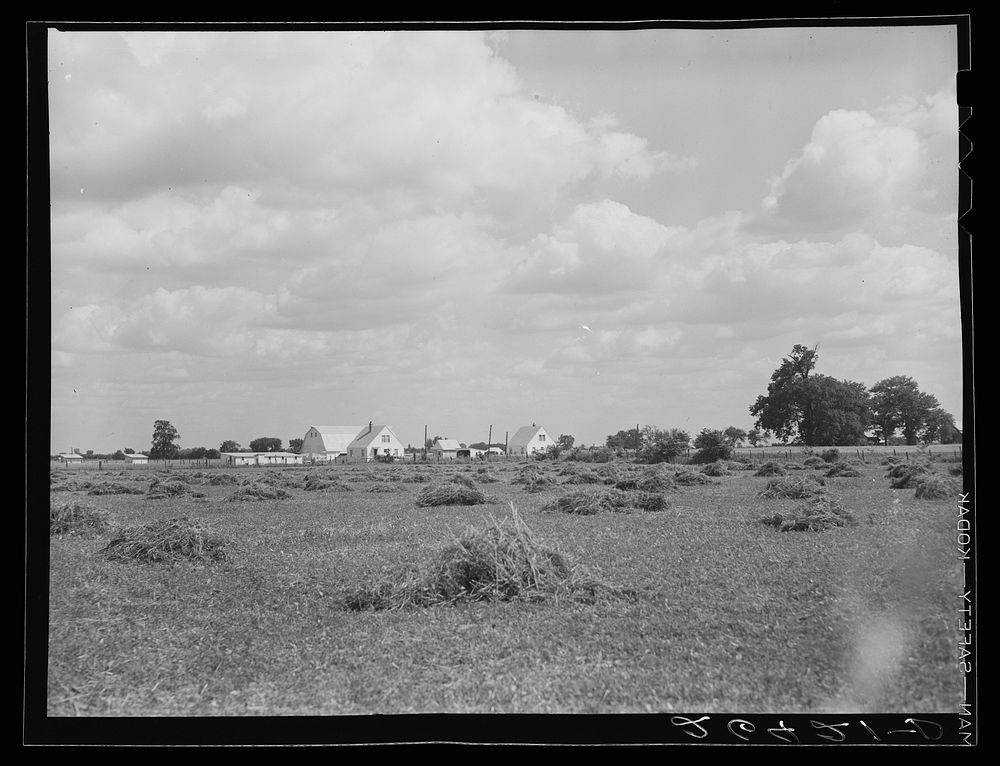 Scioto Farms, Ohio. Sourced from the Library of Congress.