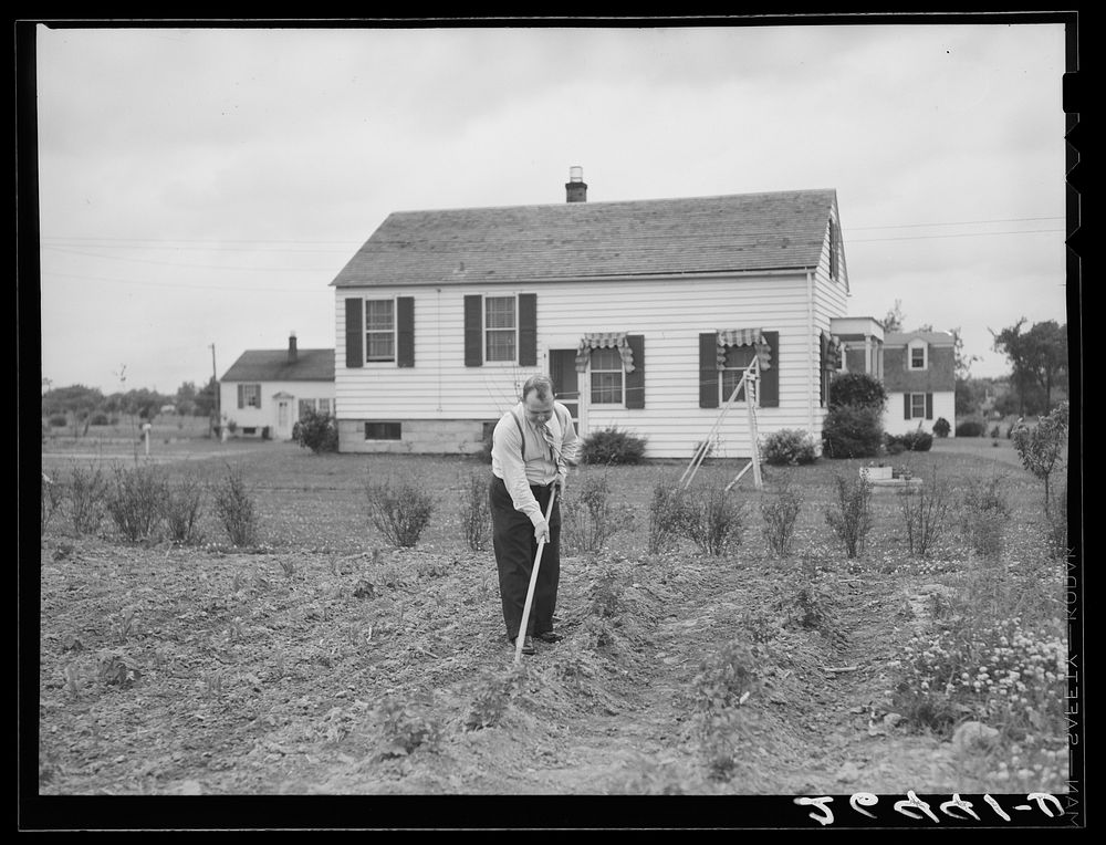 Morris Pingry in his garden. Decatur Homesteads, Indiana. Sourced from the Library of Congress.