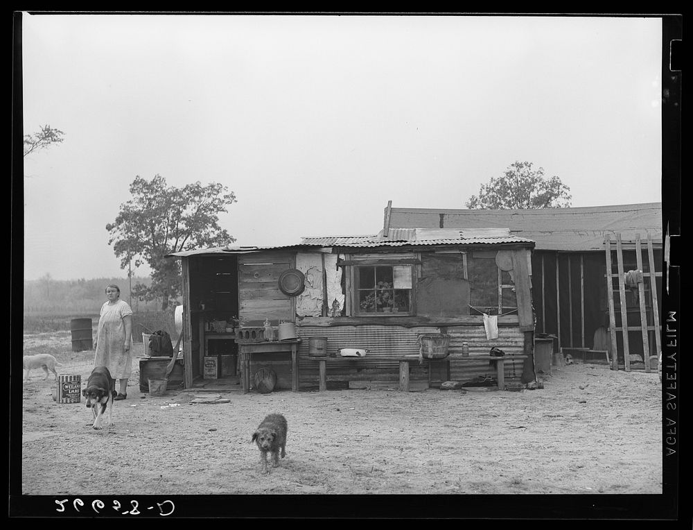 Sub-marginal farm. Burlington County, New Jersey. Sourced from the Library of Congress.