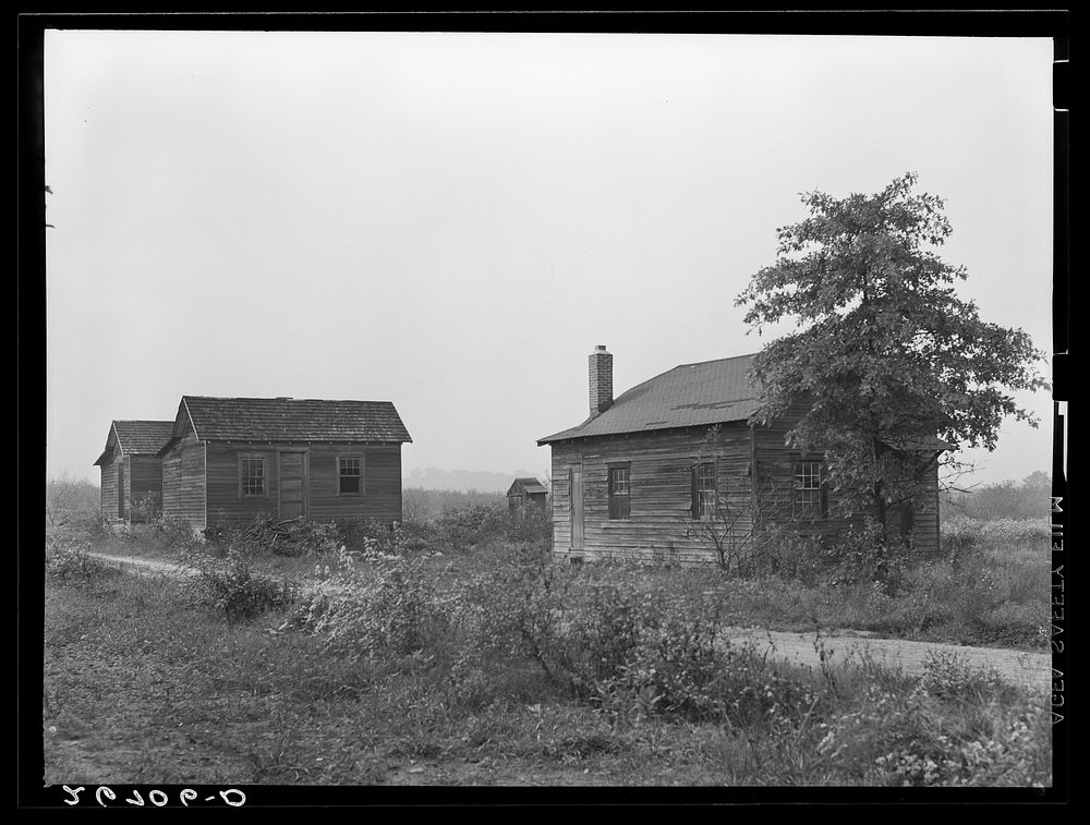 Shacks on apple-grower's farm in which seasonal workers live. Burlington County, New Jersey. Sourced from the Library of…