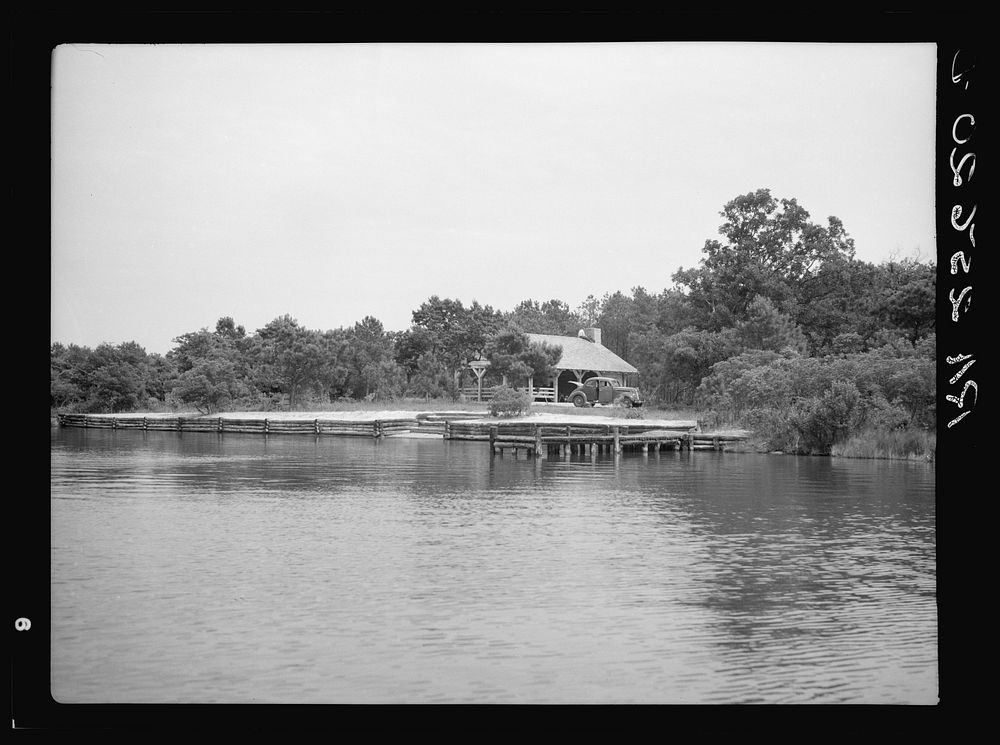 Recreation area at Strawberry Point Free Photo rawpixel