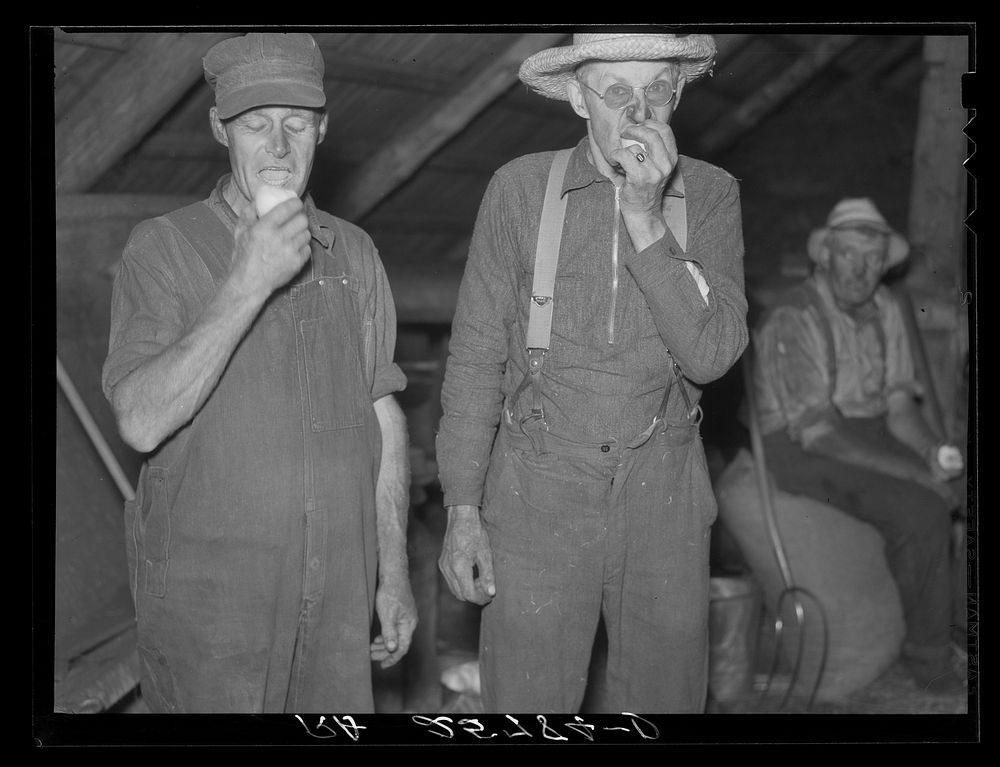 Threshing hands. Caledonia County, Vermont. Sourced from the Library of Congress.