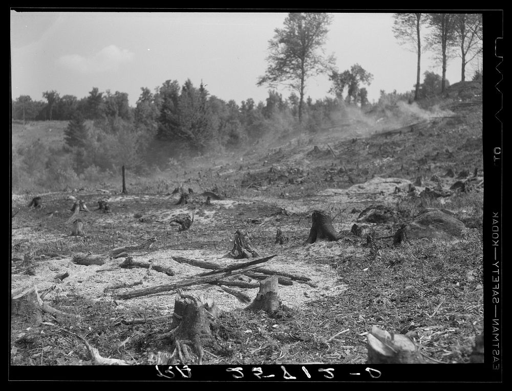 Cut-over land. Irasburg, Vermont. Sourced from the Library of Congress.