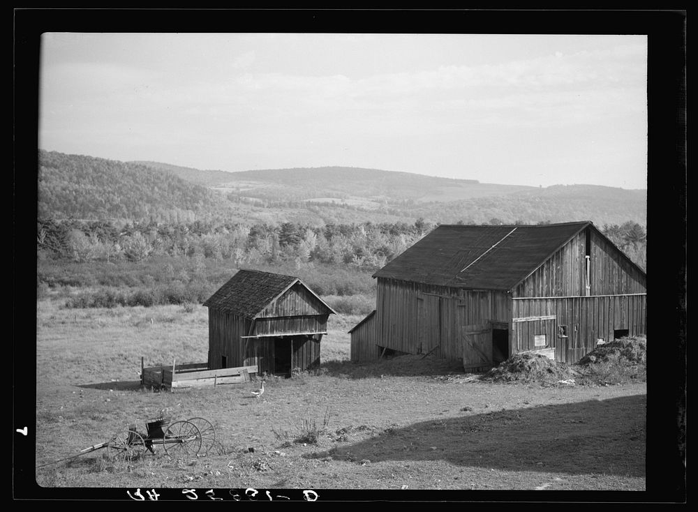 Barns on Lorenzo Clapper's farm. Otsego County, New York. Sourced from the Library of Congress.