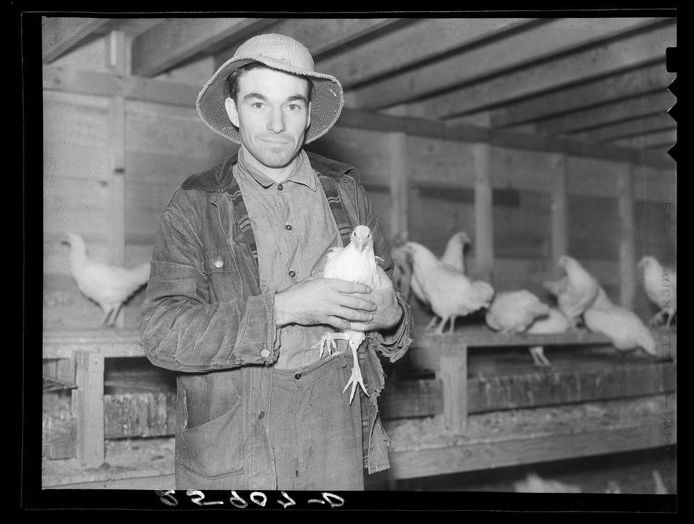 Client on farm tenancy project in his new chicken house. Tompkins County, New York. Sourced from the Library of Congress.