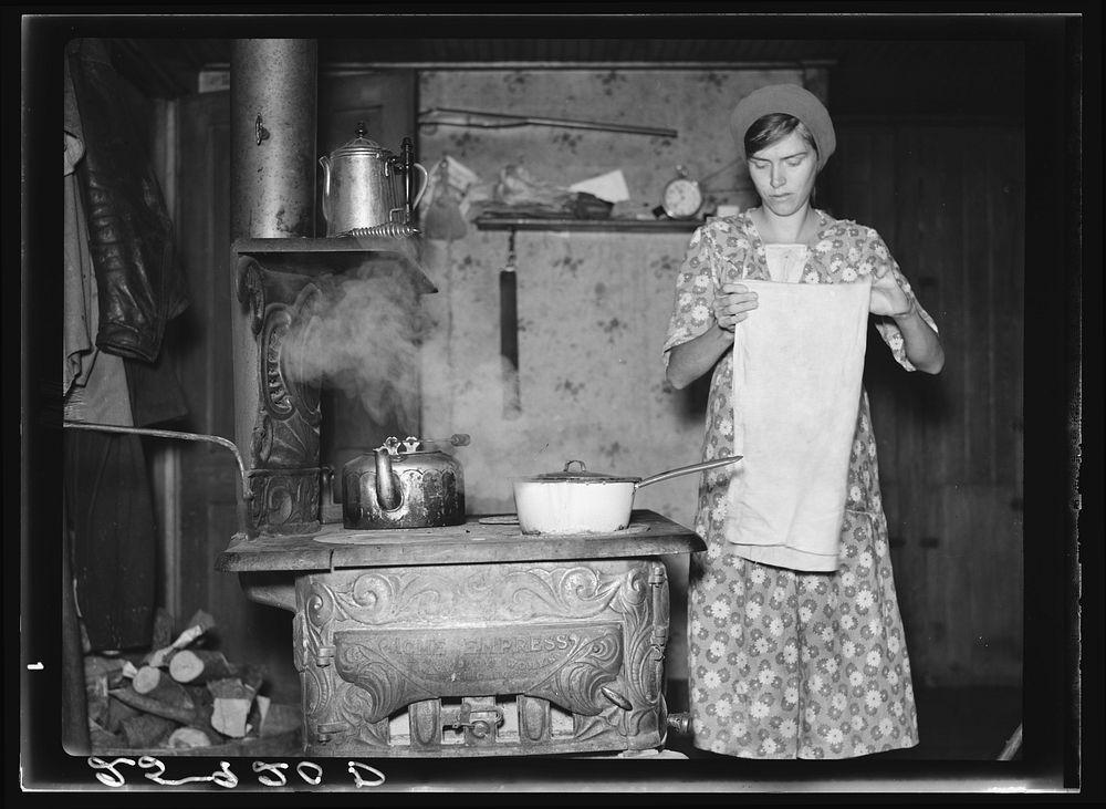 Wife of Ellery Shufelt. Albany County, New York. Sourced from the Library of Congress.