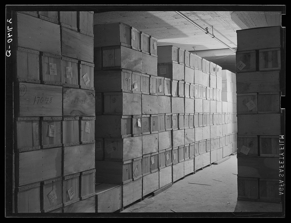 Cold storage warehouse. Jersey City, New Jersey. Eggs kept in "cooler room". Sourced from the Library of Congress.