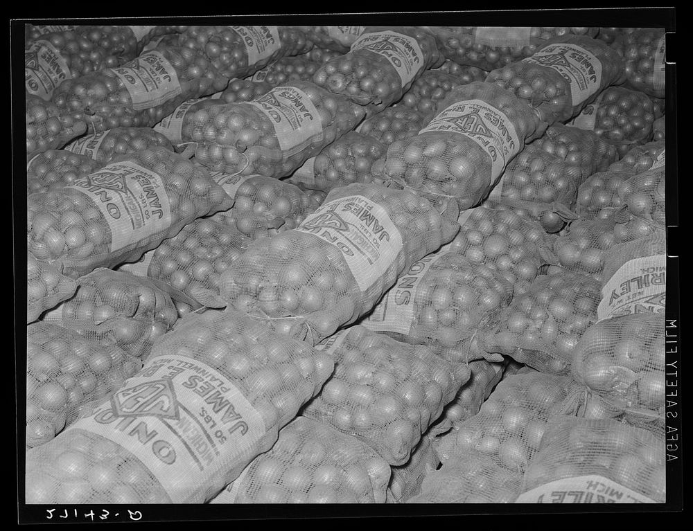 Onions in cold storage warehouse. Jersey City, New Jersey. They are kept in "cooler room". Sourced from the Library of…