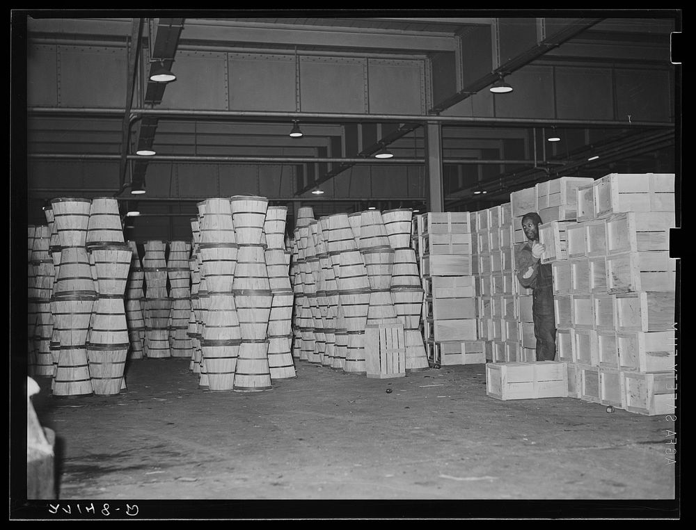 Crates of cabbages of produce market. Pier 29, New York City. Sourced from the Library of Congress.