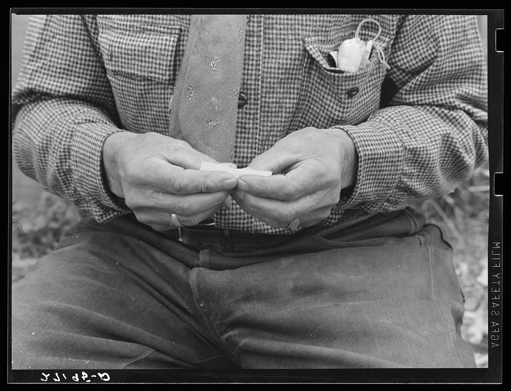 Rolling a cigarette. Bozeman, Montana. Sourced from the Library of Congress.
