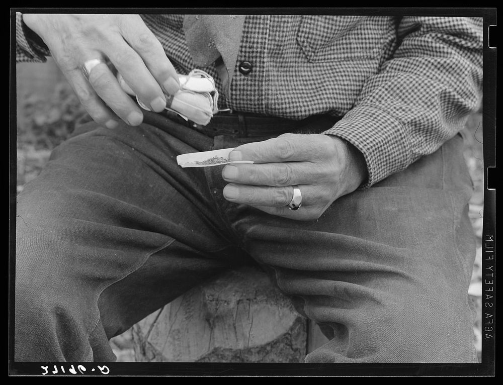 Cowpuncher making a cigarette. Bozeman, Montana. Sourced from the Library of Congress.