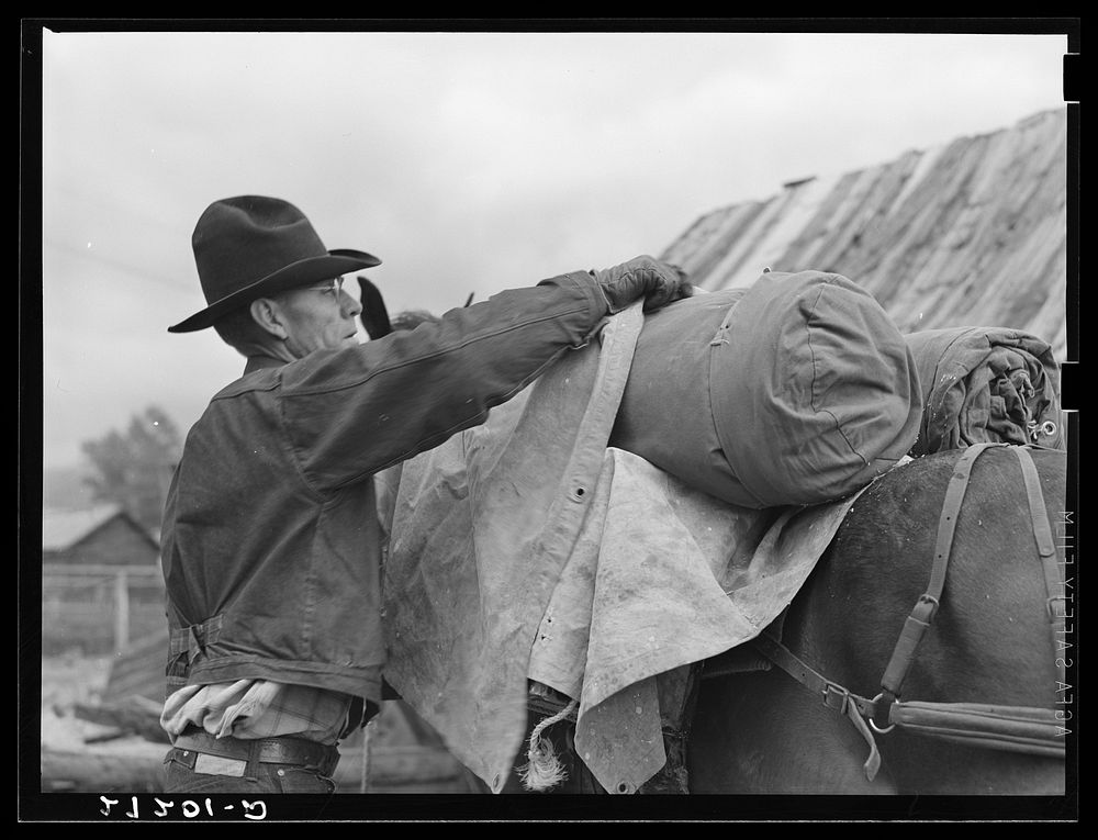 [Untitled photo, possibly related to: Packing a horse. Bozeman, Montana]. Sourced from the Library of Congress.