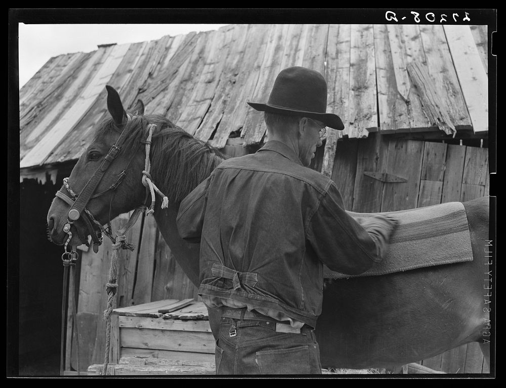 Packing a horse. Bozeman, Montana. Sourced from the Library of Congress.