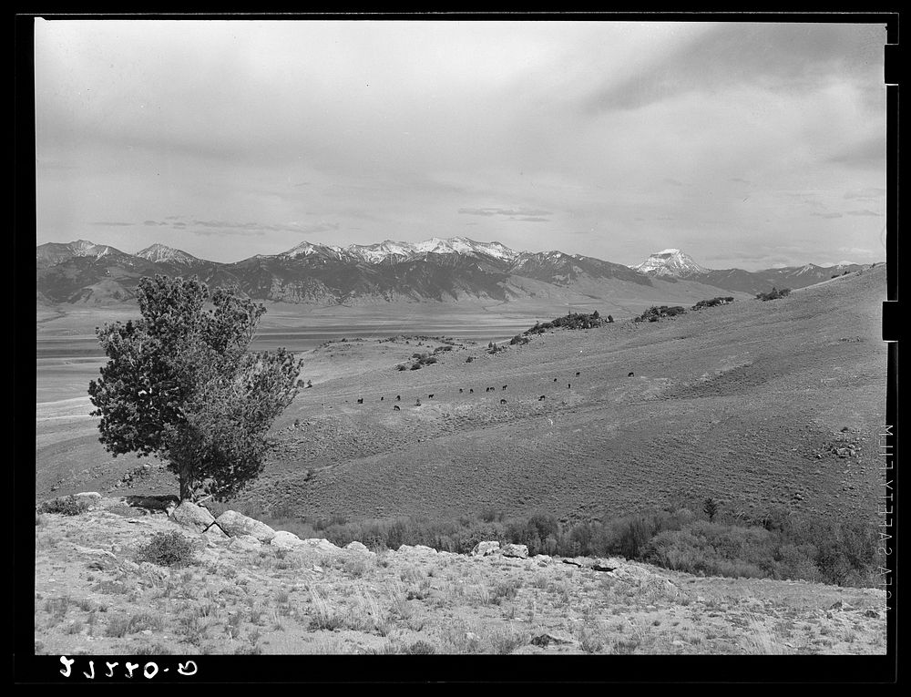 Madison Range. Montana. Sourced from the Library of Congress.