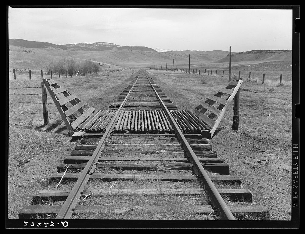Cattle guard on railroad. Madison County, Montana. Sourced from the Library of Congress.