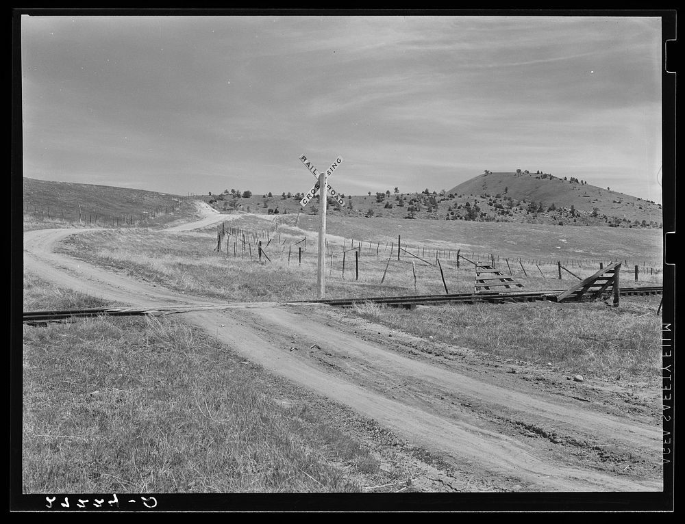 Railroad crossing. Madison County, Montana. Sourced from the Library of Congress.