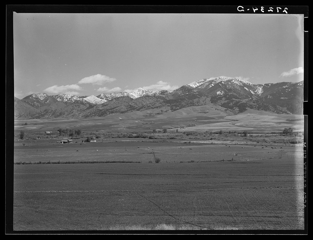 [Untitled photo, possibly related to: Irrigating in the Gallatin Valley, Montana.]. Sourced from the Library of Congress.