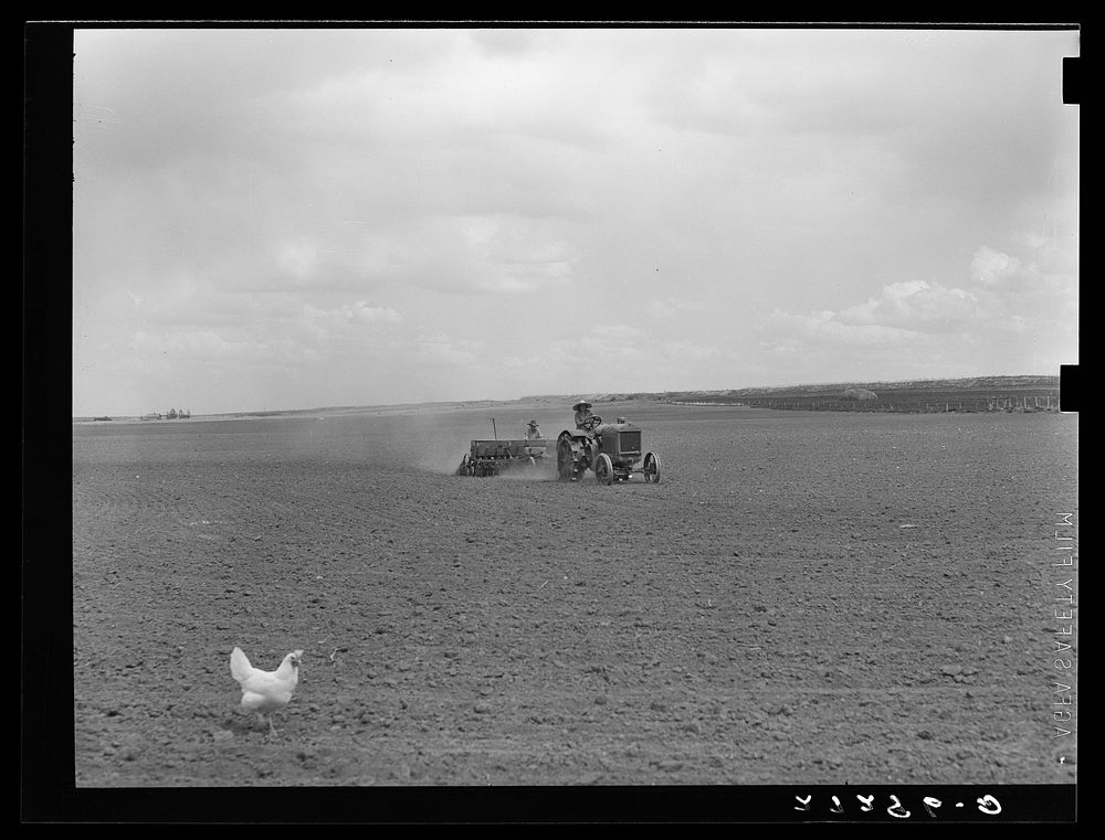 [Untitled photo, possibly related to: Farmer and wife operationg tractor and seed drill. Fairfield Bench Farms, Montana].…