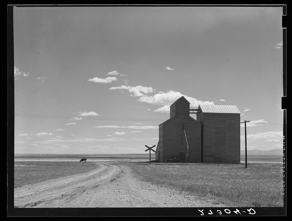 Grain elevators on Henry Sheffels' 6,000 acre wheat ranch. Cascade County, Montana. Sourced from the Library of Congress.