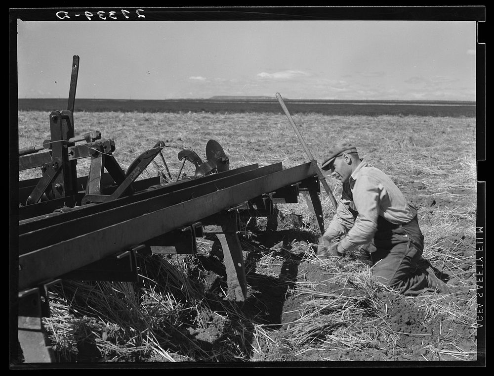 [Untitled photo, possibly related to: Tractor with noble blade on Sheffels' wheat farm. Cascade County, Montana]. Sourced…