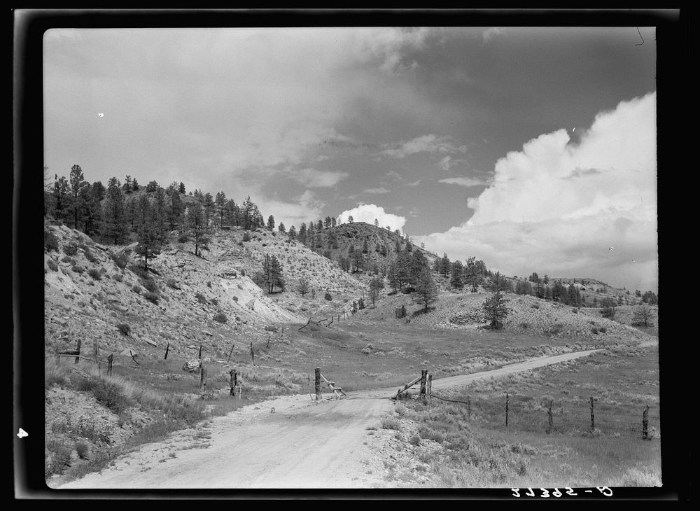 Cattle guard on rural road. Big Horn County, Montana. Sourced from the Library of Congress.