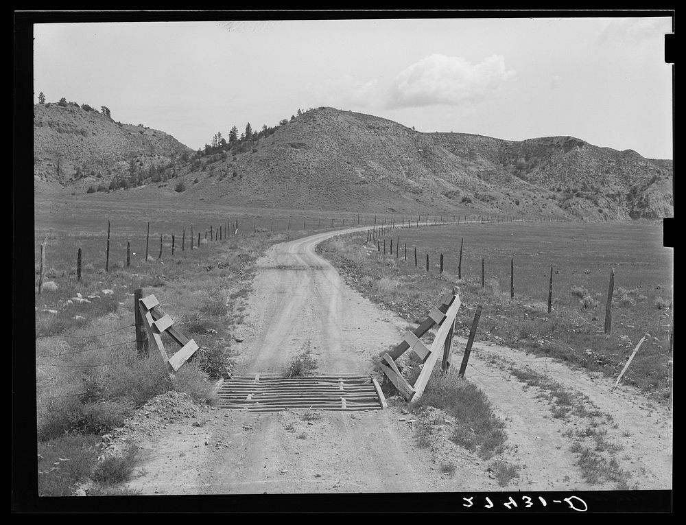 Cattleguard. Big Horn County, Montana. Sourced from the Library of Congress.
