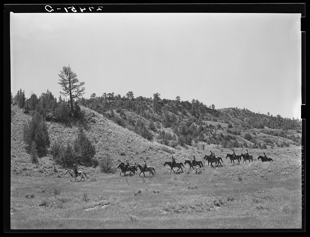 Dudes out for a morning ride. Quarter Circle 'U' Ranch, Montana. Sourced from the Library of Congress.