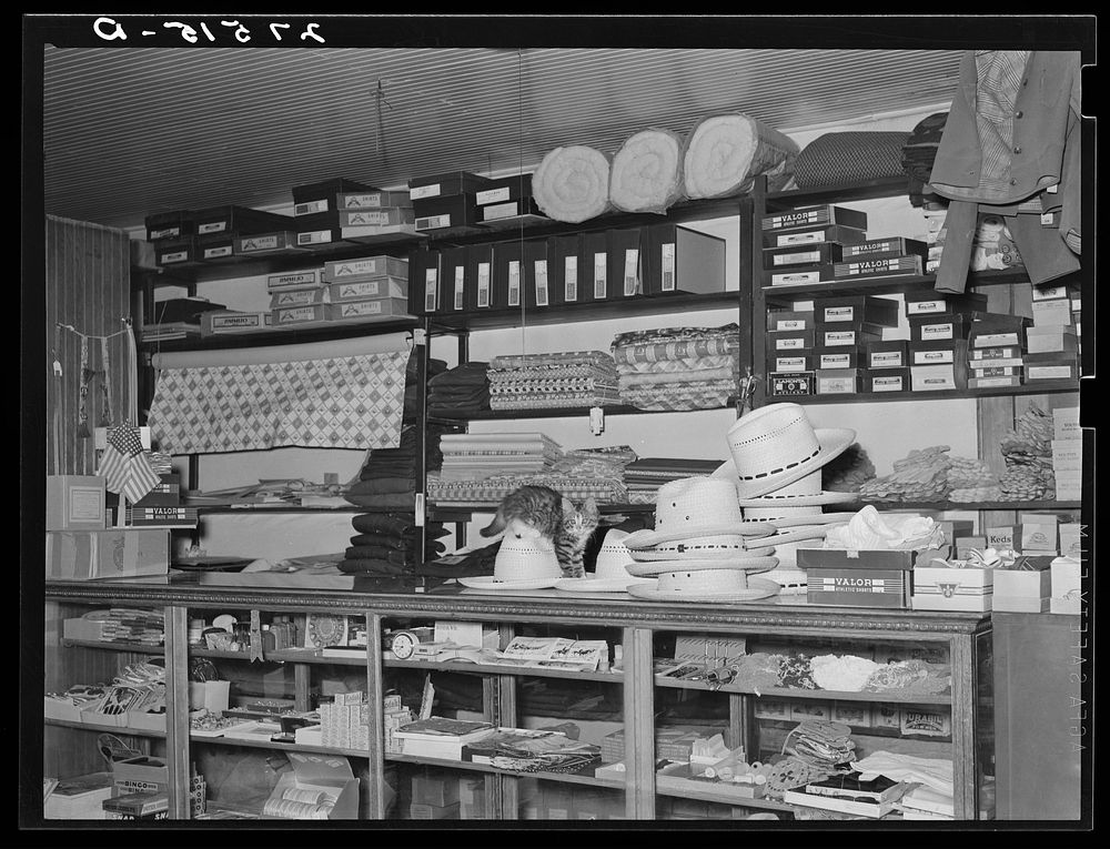 Dry goods counter, general store. Birney, Montana. Sourced from the Library of Congress.