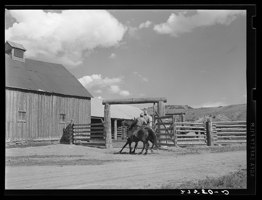 [Untitled photo, possibly related to: Ranchers riding through corral gate. Quarter Circle 'U' Ranch, Montana]. Sourced from…