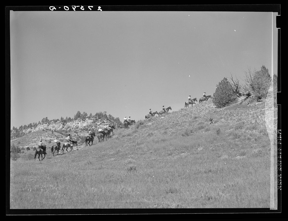 [Untitled photo, possibly related to: Dudes riding. Quarter Circle 'U' Ranch, Montana]. Sourced from the Library of Congress.