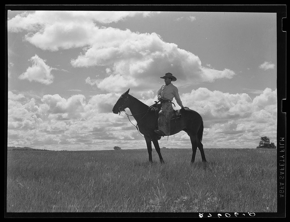 Cowhand. Custer Forest, Montana. Sourced from the Library of Congress.
