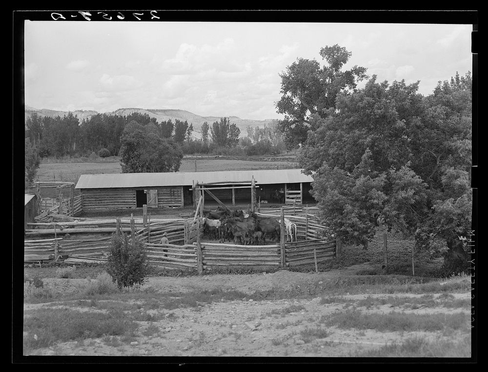 [Untitled photo, possibly related to: Corral and barn. Warren Brewster ranch, Montana]. Sourced from the Library of Congress.