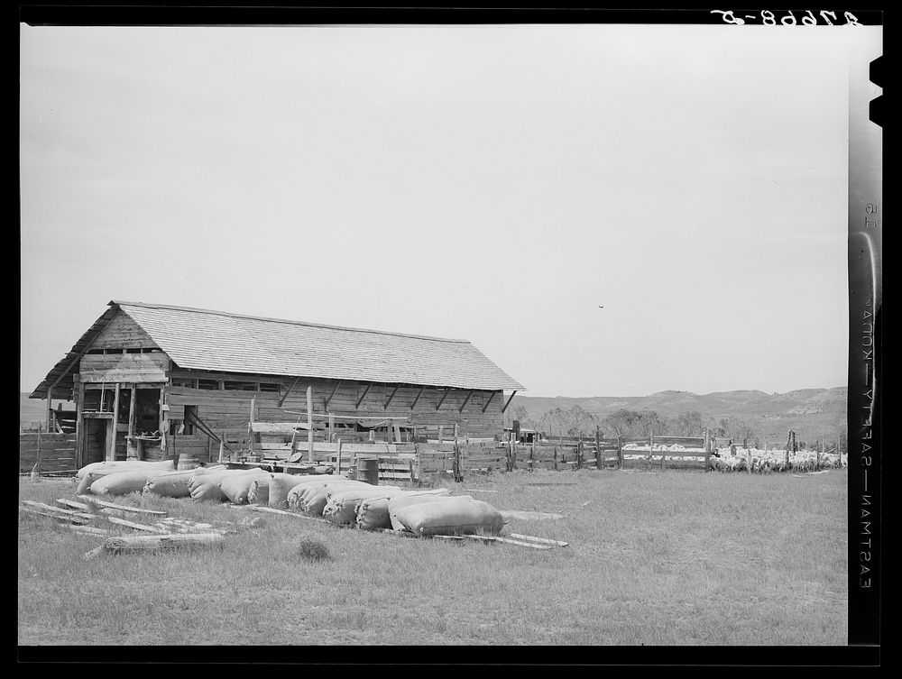 [Untitled photo, possibly related to: Wool sacks at sheepshearing pen. Rosebud County, Montana]. Sourced from the Library of…
