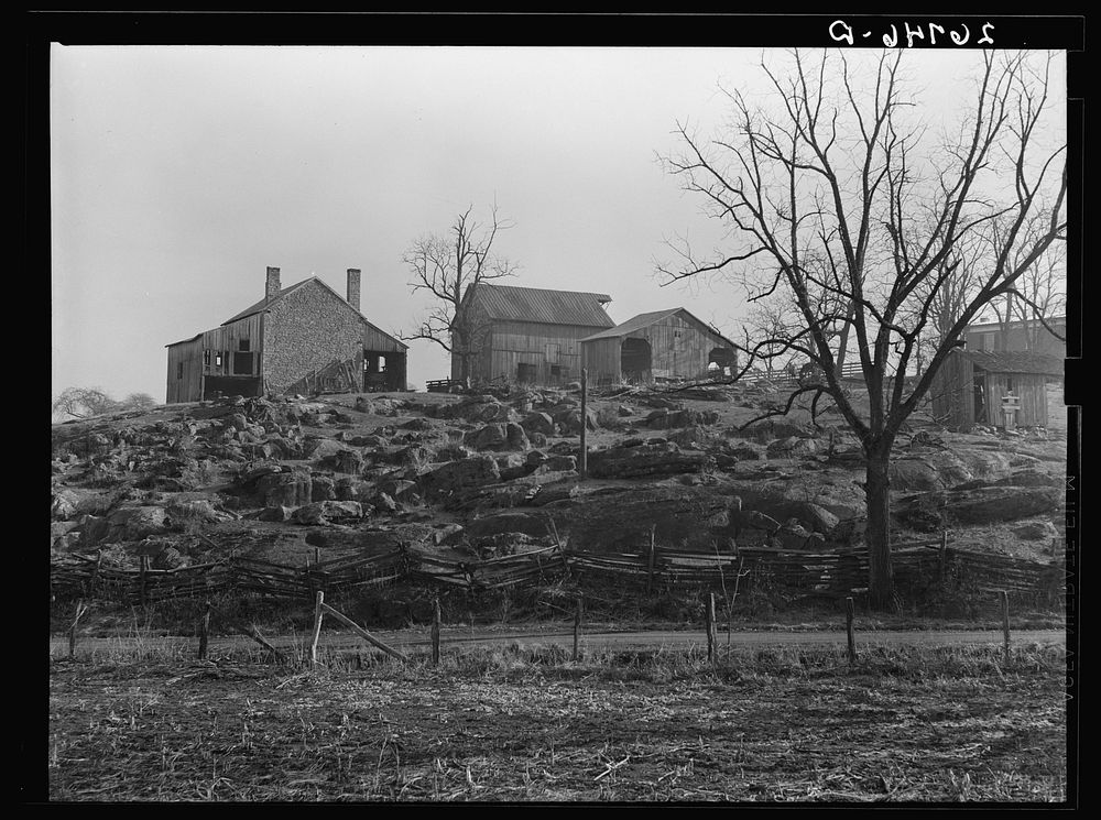 A rocky farm in western Virginia. Alleghany County. Sourced from the Library of Congress.
