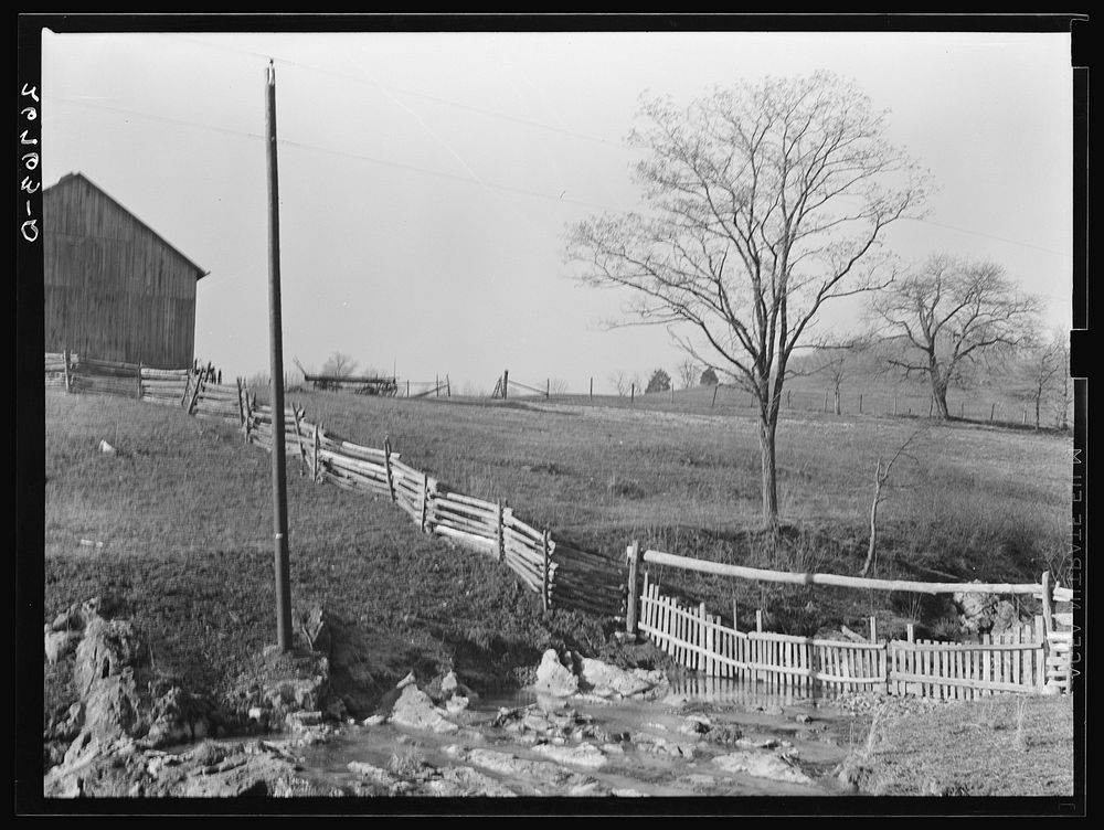 [Untitled photo, possibly related to: A rocky farm in western Virginia. Alleghany County]. Sourced from the Library of…