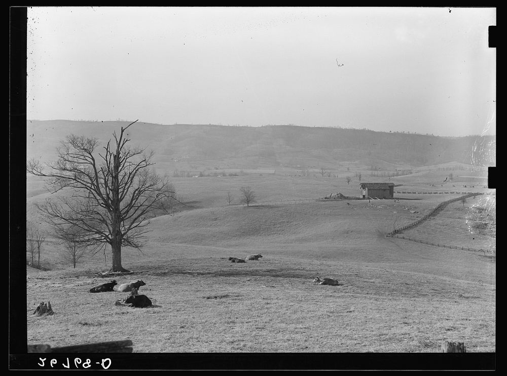 Farmland. Alleghany County, Virginia. Sourced from the Library of Congress.