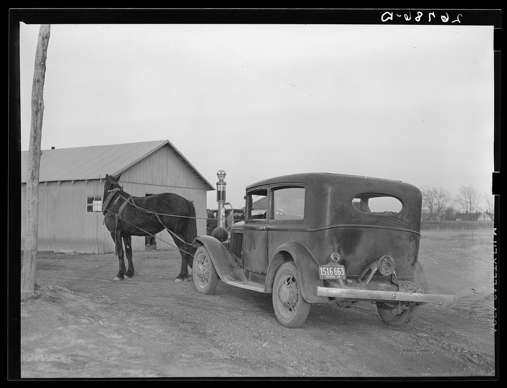 [Untitled photo, possibly related to: Emergency mule power. Franklin County, Illinois]. Sourced from the Library of Congress.