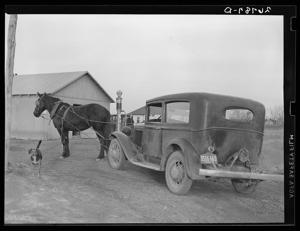Emergency mule power. Franklin County, Illinois. Sourced from the Library of Congress.
