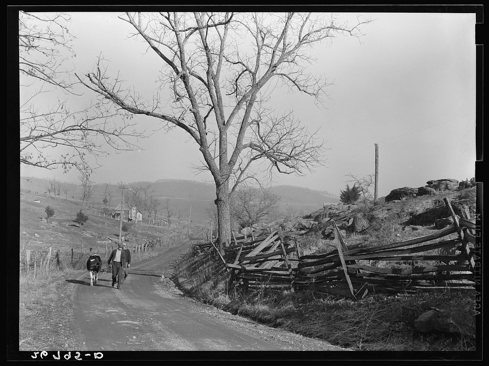 Rural road. Alleghany County, Virginia. Sourced from the Library of Congress.
