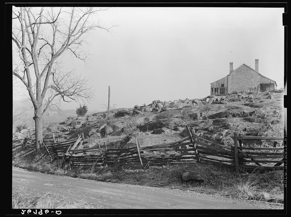 [Untitled photo, possibly related to: Rural road. Alleghany County, Virginia]. Sourced from the Library of Congress.
