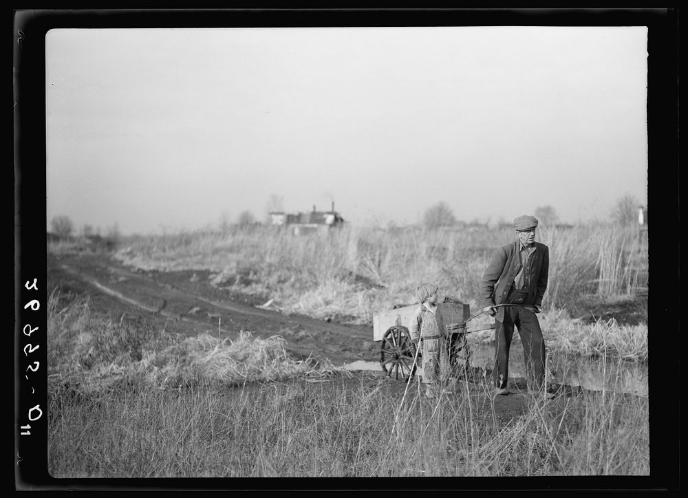 [Untitled photo, possibly related to: Family on relief living in shanty on city dump. Herrin, Illinois]. Sourced from the…