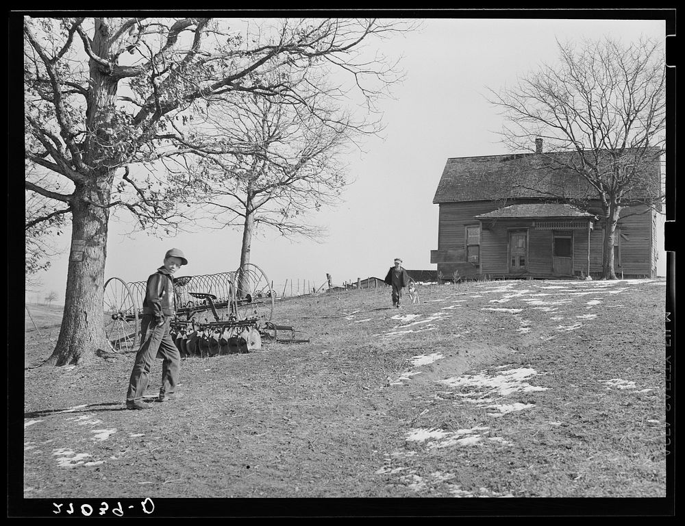 [Untitled photo, possibly related to: Home of Rehabilitation Administration client. Gallatin County, Illinois (see 27018…