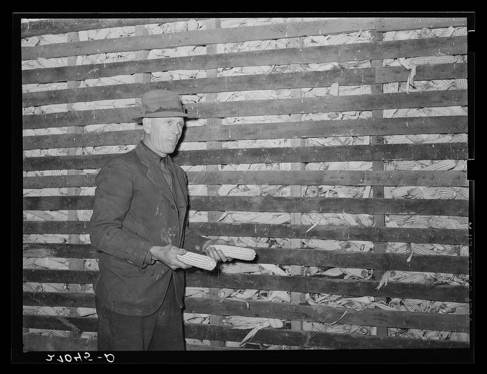 Tenant purchase client with overflowing corn crib. Saline County, Illinois. Sourced from the Library of Congress.