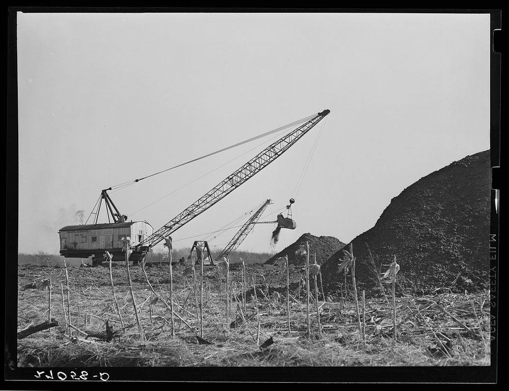 Strip coal mine encroaching upon farmland. Carterville, Illinois. Sourced from the Library of Congress.