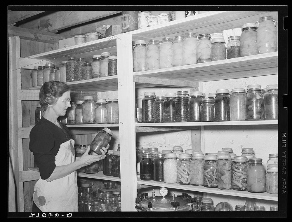 Wife of tenant purchase client with canned goods. Saline County, Illinois (see 27031-D). Sourced from the Library of…